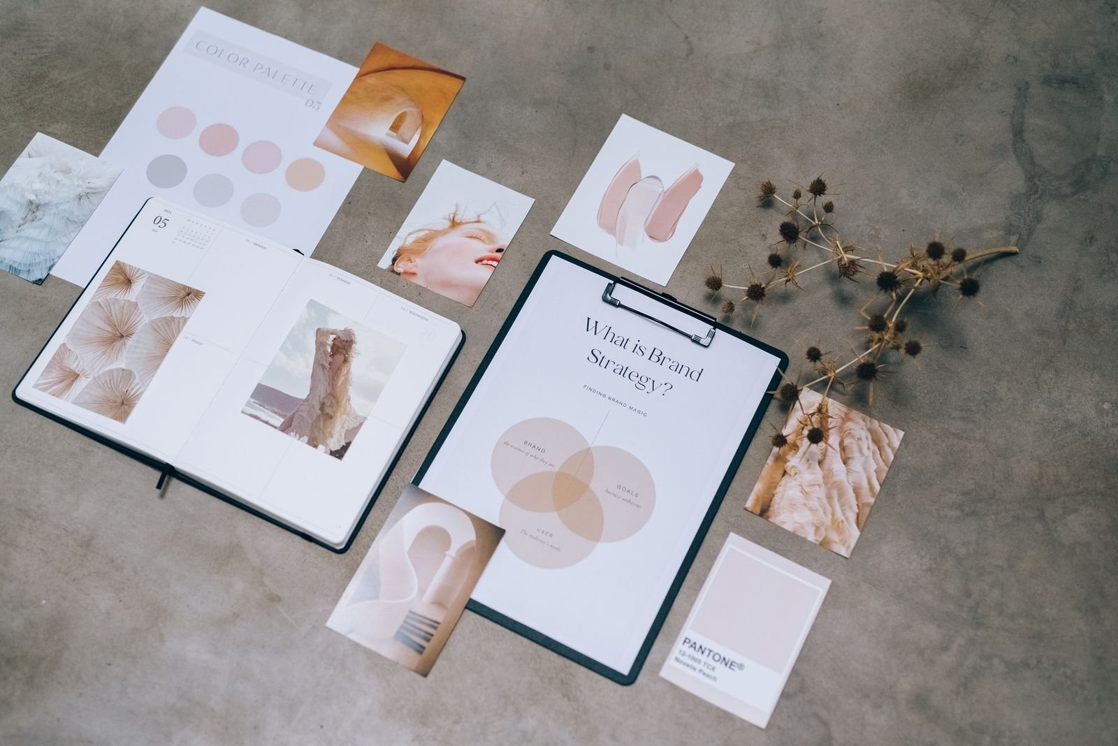 Brand strategy moodboard with color swatches and identity concepts